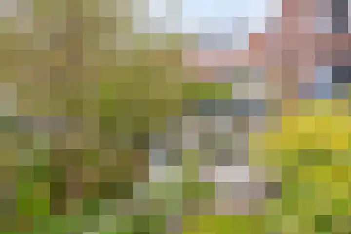 Warnsveldseweg 18 Zutphen thumbnail 50