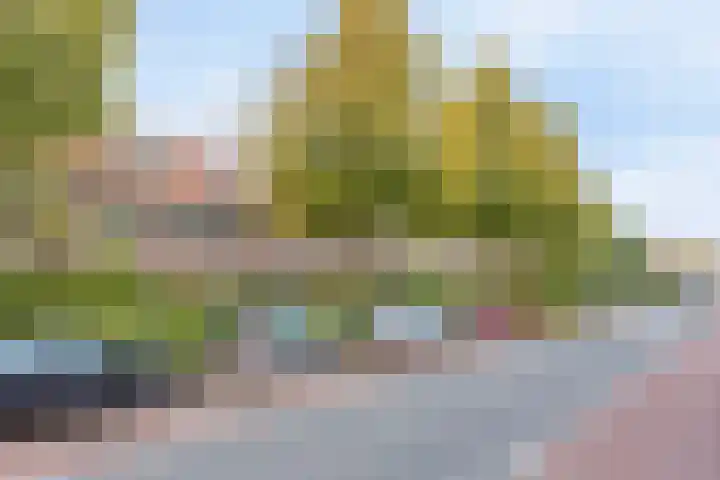 Warnsveldseweg 18 Zutphen thumbnail 52