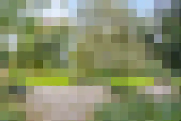 Warnsveldseweg 18 Zutphen thumbnail 53