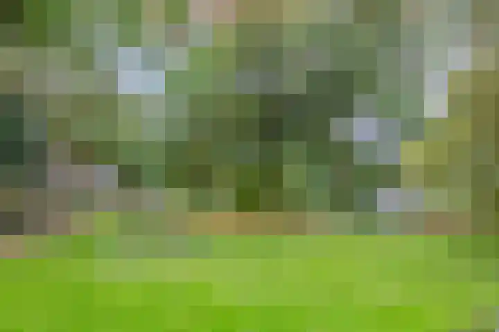 Warnsveldseweg 18 Zutphen thumbnail 54