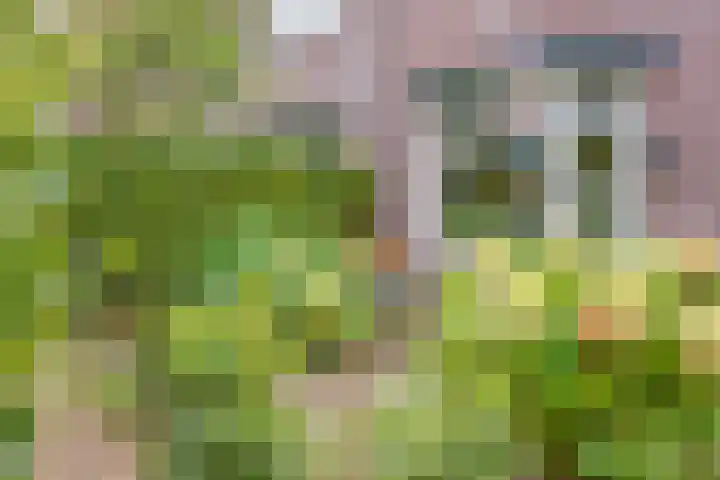 Warnsveldseweg 18 Zutphen thumbnail 6