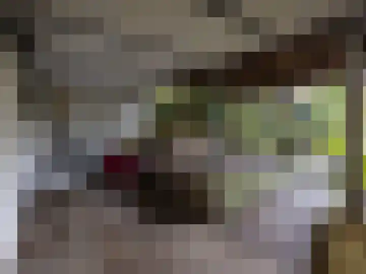 Warnsveldseweg 31 Zutphen thumbnail 35