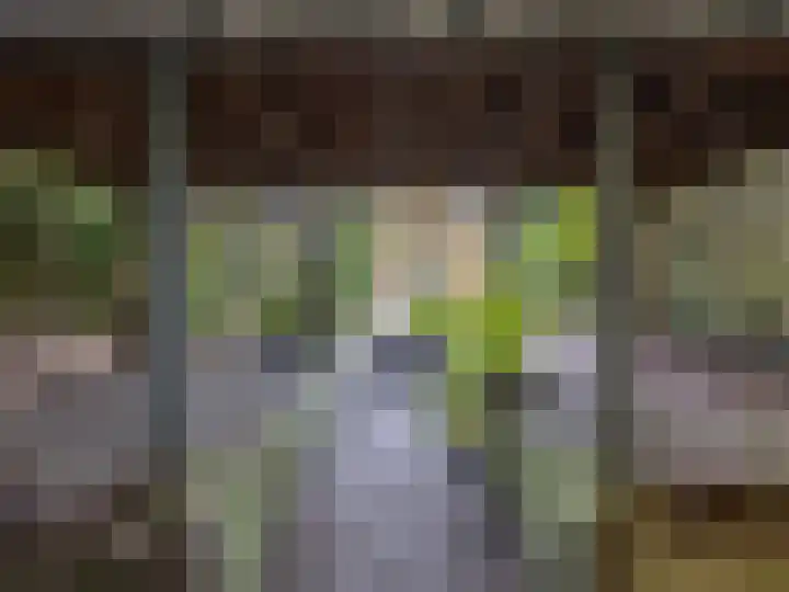 Warnsveldseweg 31 Zutphen thumbnail 36