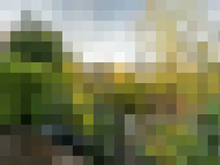 Warnsveldseweg 31 Zutphen thumbnail 38