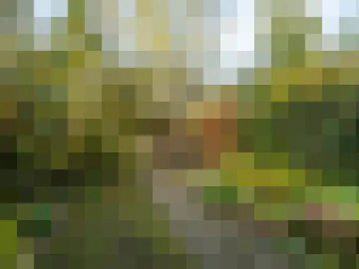 Warnsveldseweg 31 Zutphen thumbnail 39