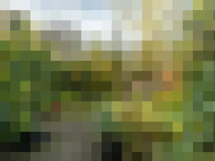 Warnsveldseweg 31 Zutphen thumbnail 40