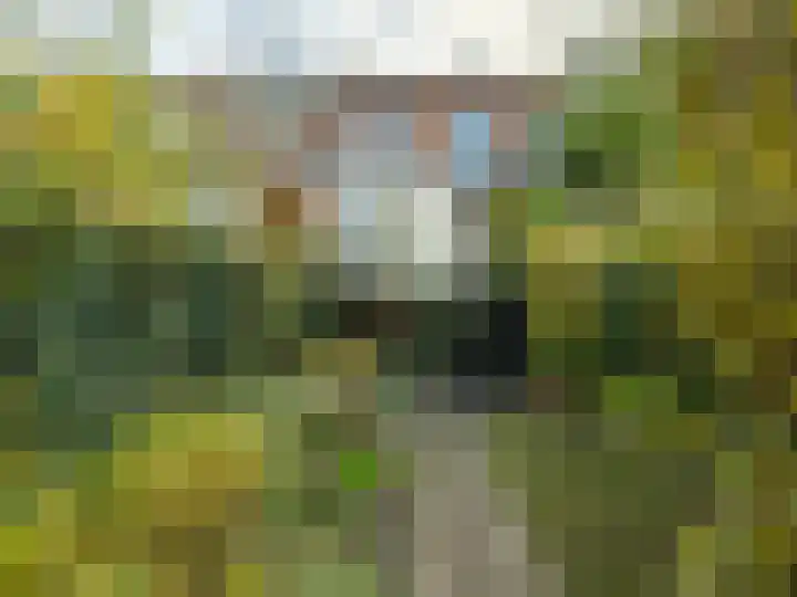 Warnsveldseweg 31 Zutphen thumbnail 42