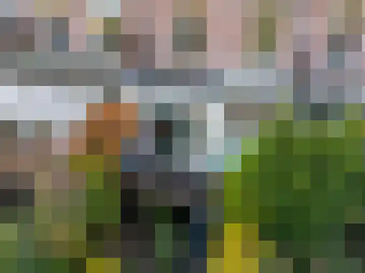 Warnsveldseweg 31 Zutphen thumbnail 43