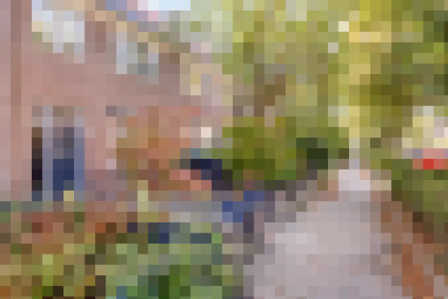 Warnsveldseweg 34 BE Zutphen thumbnail 4