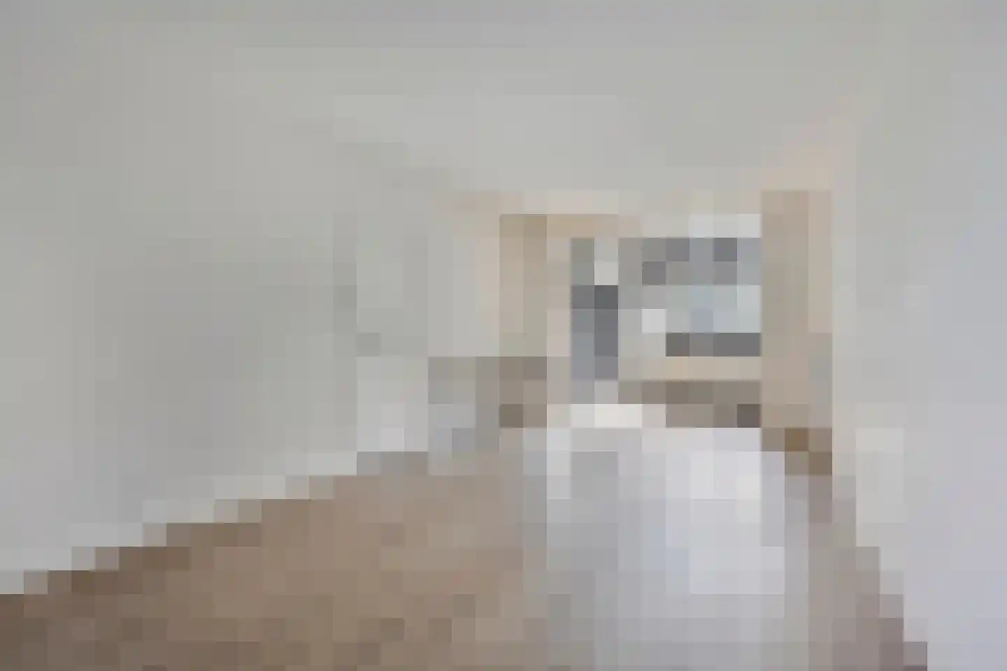 Warnsveldseweg 34 BE Zutphen thumbnail 8