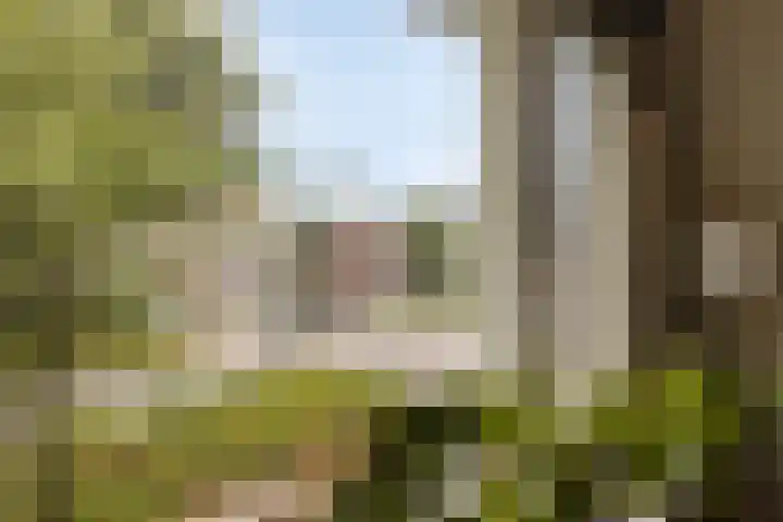 Warnsveldseweg 34 BO Zutphen thumbnail 10