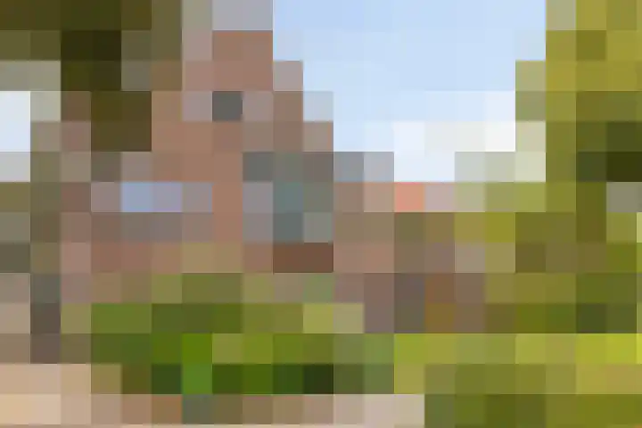 Warnsveldseweg 34 BO Zutphen thumbnail 28