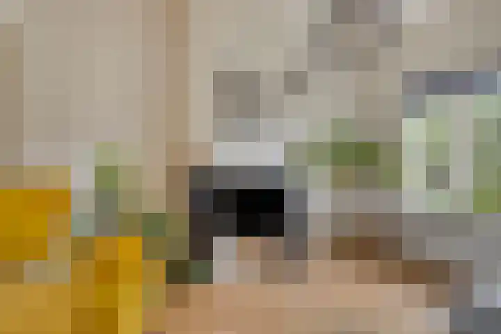 Warnsveldseweg 34 BO Zutphen thumbnail 9