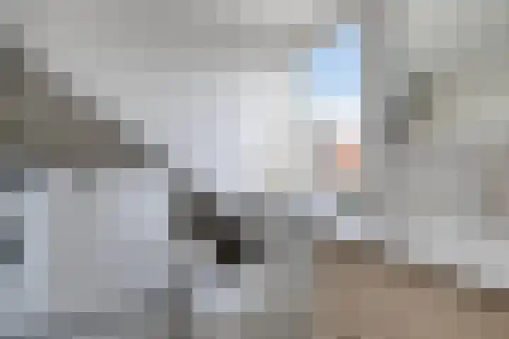 Warnsveldseweg 73 Zutphen thumbnail 21