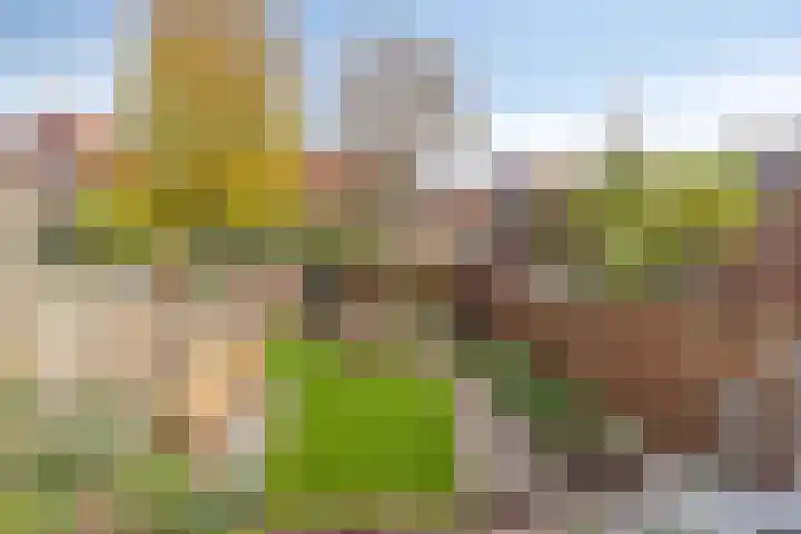 Warnsveldseweg 73 Zutphen thumbnail 23