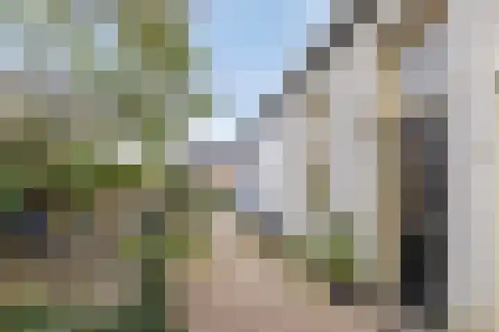 Warnsveldseweg 73 Zutphen thumbnail 30