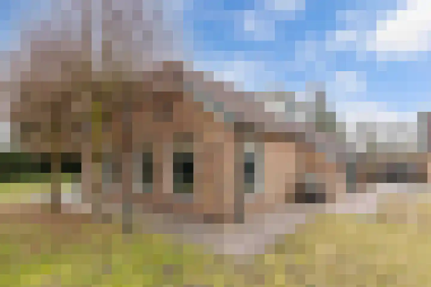 Warreboslaan 29 Surhuisterveen