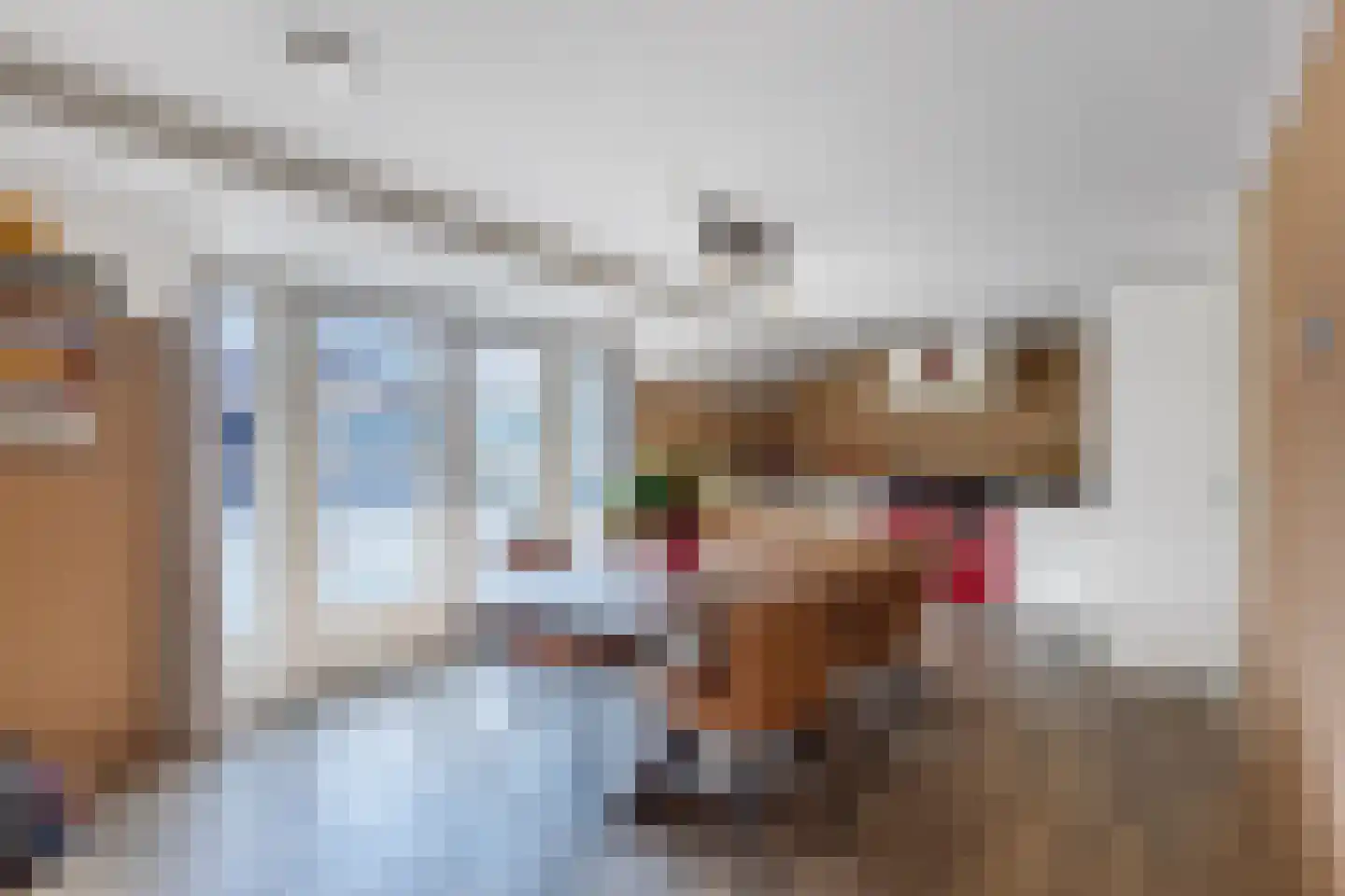 Warreboslaan 29 Surhuisterveen thumbnail 18