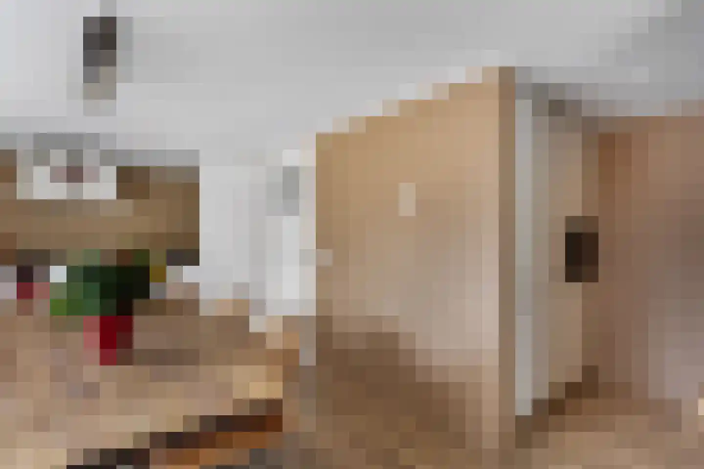 Warreboslaan 29 Surhuisterveen thumbnail 19