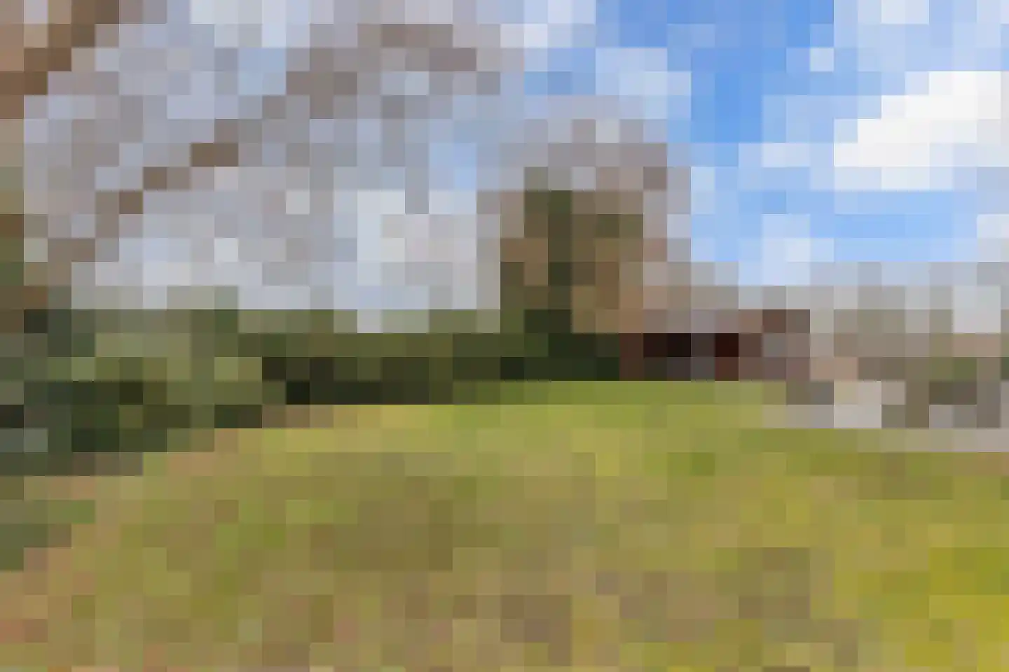 Warreboslaan 29 Surhuisterveen thumbnail 37