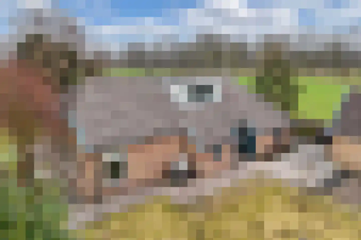 Warreboslaan 29 Surhuisterveen thumbnail 39