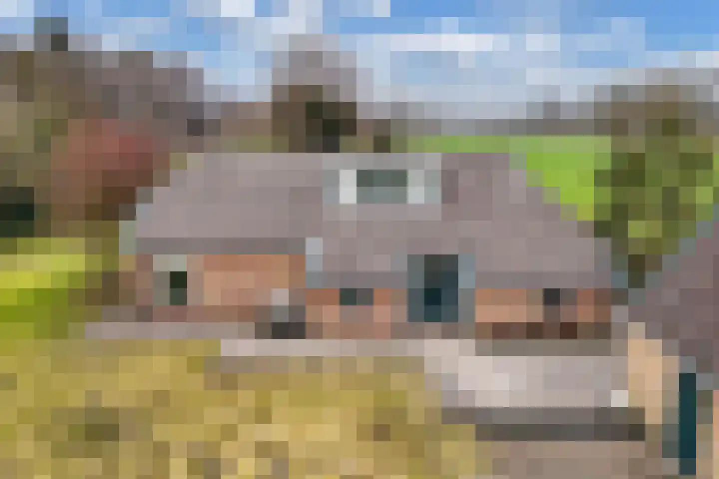 Warreboslaan 29 Surhuisterveen thumbnail 40