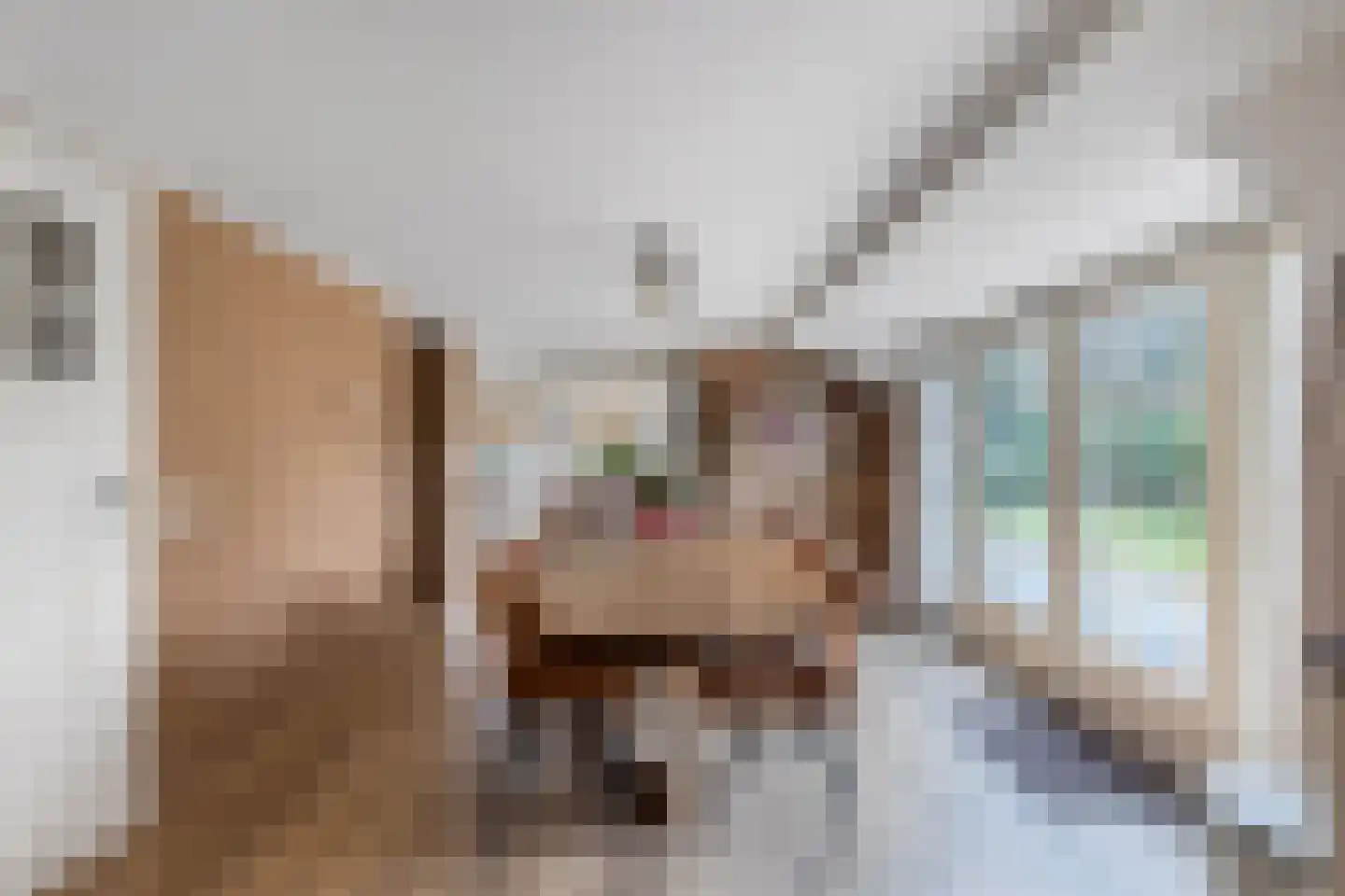 Warreboslaan 29 Surhuisterveen thumbnail 9