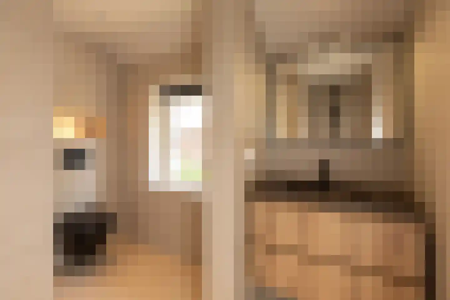 Warrekam 8 Laren thumbnail 20