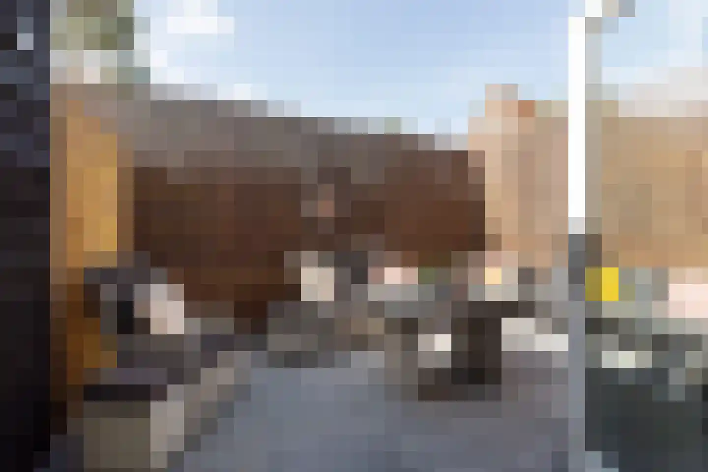 Warrekam 8 Laren thumbnail 28
