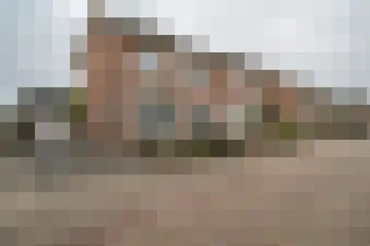 Warreveen 20 Pesse
