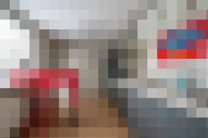 Warreveen 20 Pesse thumbnail 10