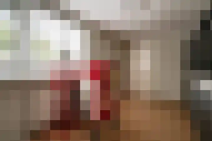 Warreveen 20 Pesse thumbnail 11