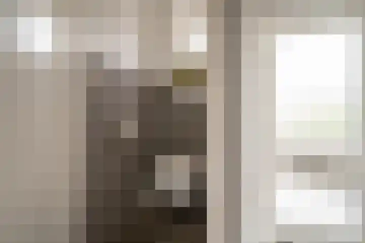 Warreveen 20 Pesse thumbnail 14