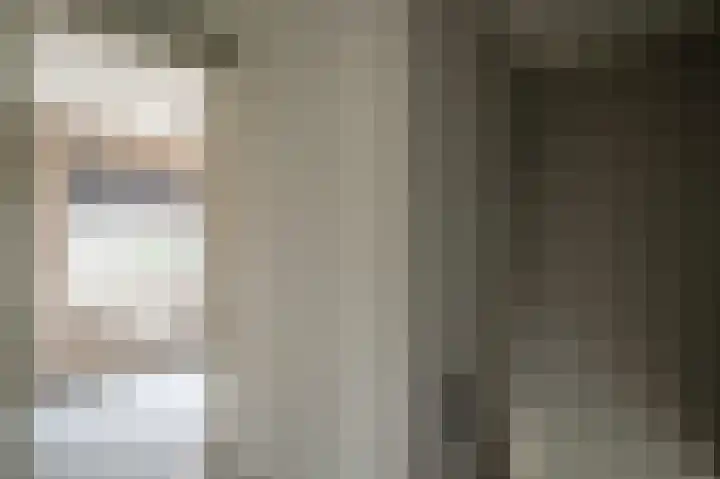 Warreveen 20 Pesse thumbnail 15