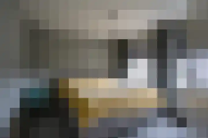 Warreveen 20 Pesse thumbnail 16