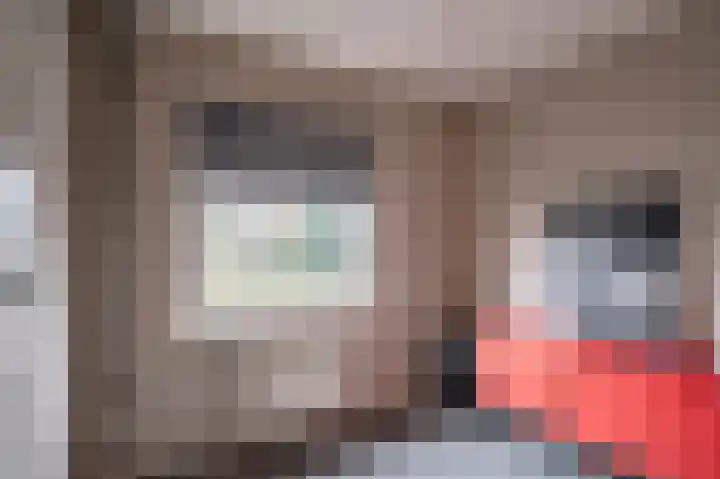 Warreveen 20 Pesse thumbnail 17