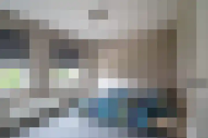 Warreveen 20 Pesse thumbnail 19