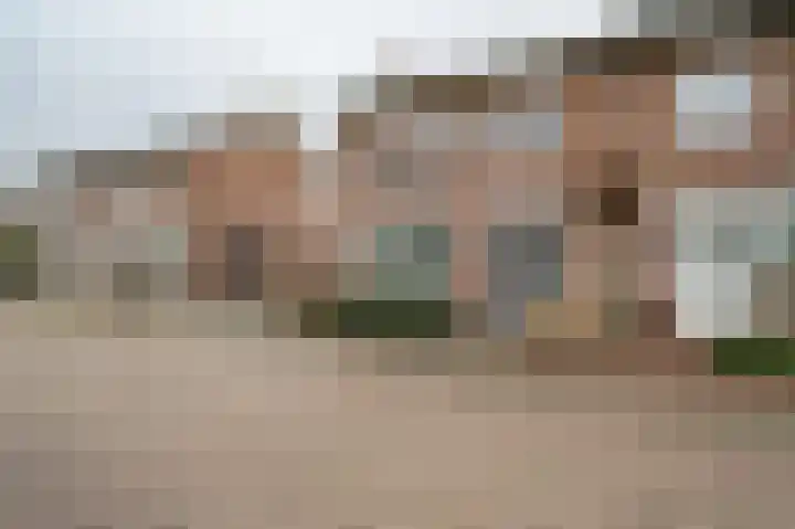 Warreveen 20 Pesse foto 2