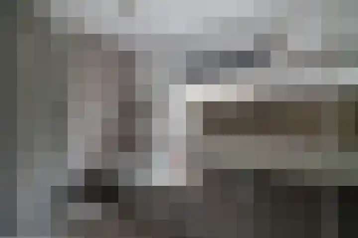 Warreveen 20 Pesse thumbnail 21