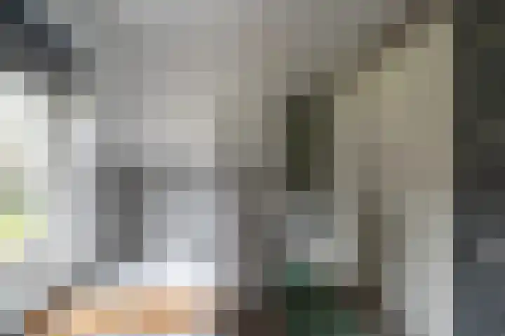 Warreveen 20 Pesse thumbnail 22