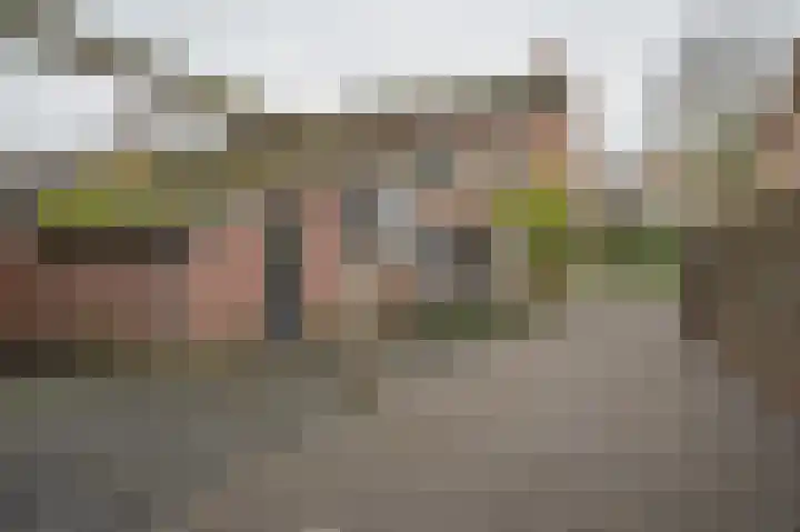 Warreveen 20 Pesse thumbnail 23