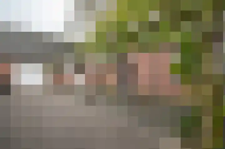 Warreveen 20 Pesse thumbnail 24