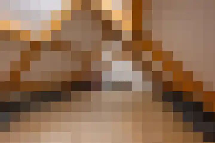 Warreveen 20 Pesse thumbnail 27