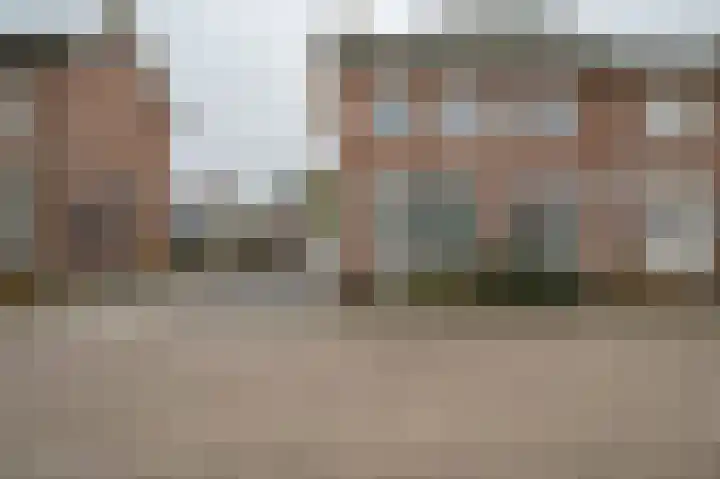 Warreveen 20 Pesse thumbnail 28