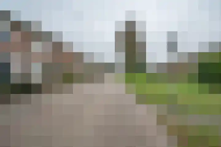 Warreveen 20 Pesse thumbnail 29