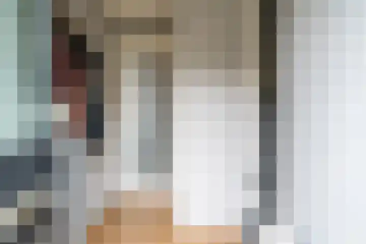 Warreveen 20 Pesse foto 3