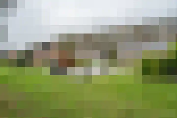 Warreveen 20 Pesse thumbnail 30