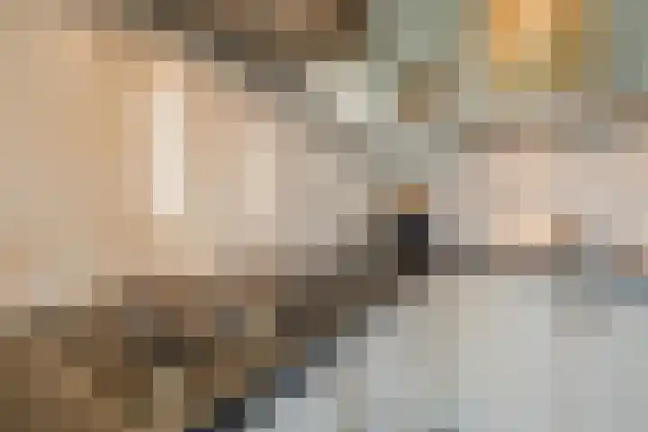 Warreveen 39 Pesse thumbnail 11