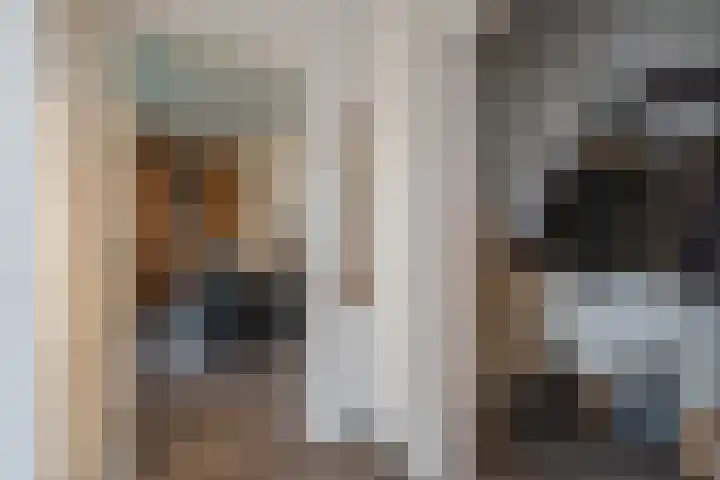 Warreveen 39 Pesse thumbnail 13