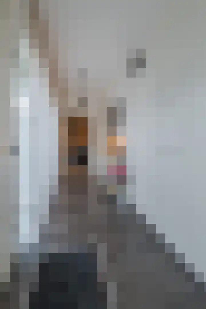 Warreveen 39 Pesse thumbnail 14